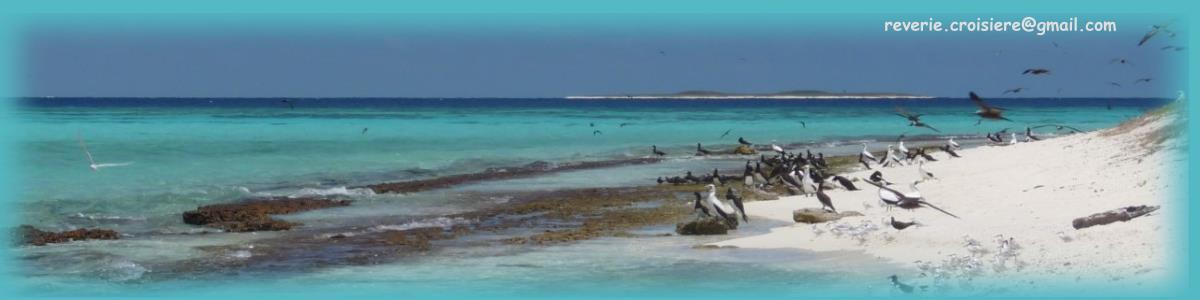 Reverie croisi�re Iles Surprises