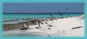 R�verie Croisi�res ACCUEIL
